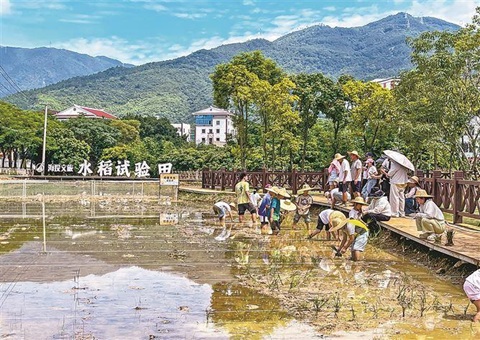 方寸碎田变千亩沃野&nbsp;&nbsp;厦门首个全域土地综合整治试点项目成为文旅打卡地