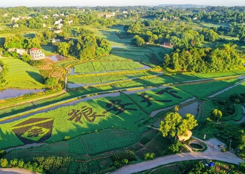 泸州市深耕全域土地综合整治&nbsp;&nbsp;赋能和美乡村建设