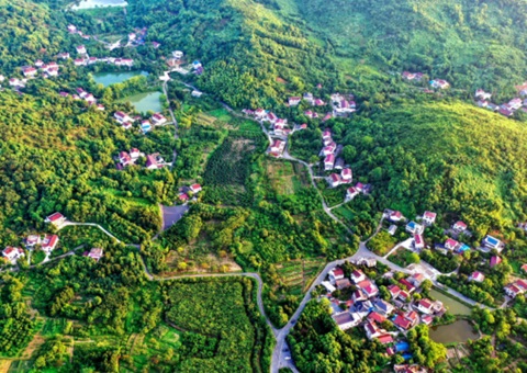 沃土生新景 &nbsp;山林启新程 &nbsp;&nbsp;铜陵“六个一”解锁乡村振兴新活力